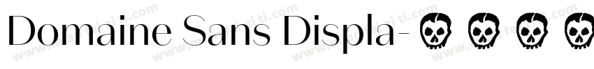 Domaine Sans Displa字体转换